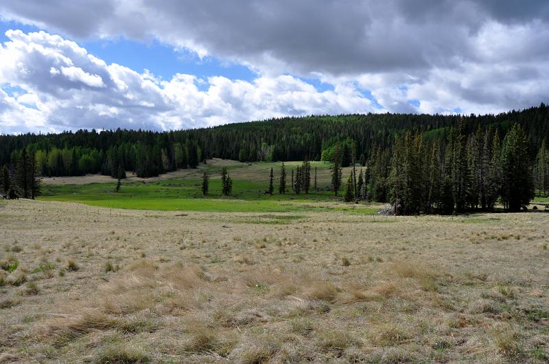 1006120849-Baldy 127.jpg